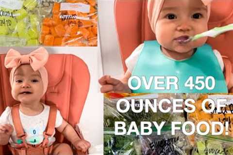 How to Make Baby Food Purees | 6-9 Months @Mama Tried