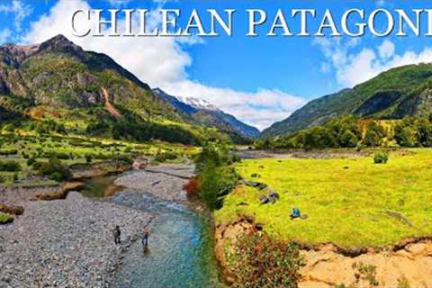 Fly Fishing Patagonia - Fly Fishing a GORGEOUS Creek for Rainbow &amp; Brown Trout in Chile