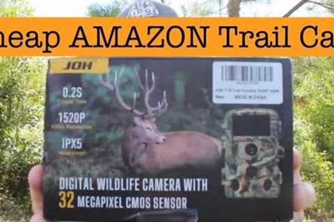 CHEAP Amazon Deer Camera || JOH Trail Camera Review
