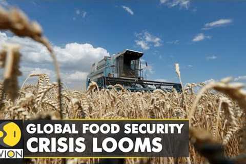 Global food security crisis looms: Russia to free up maritime blockade | World English News | WION