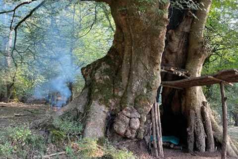 Building Complete And Warm Survival Shelter In The Trunk , Bushcraft Tree Hut &amp; Fireplace With..