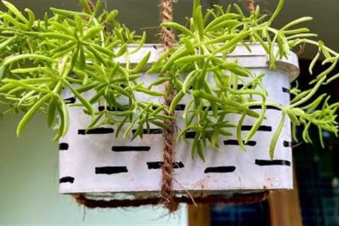 Hanging pot DIY | Hanging plant decorations | Gardening ideas