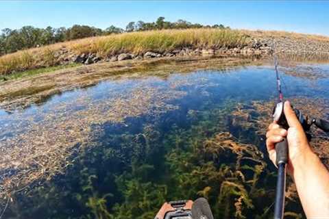 Exclusive Property for Bass fishing