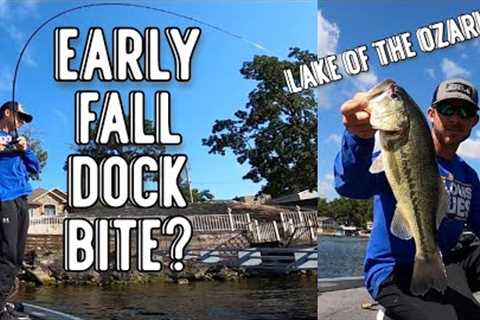 September Dock Bite | Bass Fishing | Lake Of The Ozarks