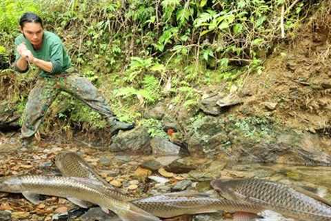skill, catch all stream fish, survival alone, survival instinct