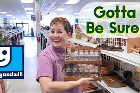 Gotta Be Sure! - Shop Along With Me - Goodwill Thrift Store