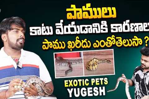 YSH Exoctic Pets Yugesh Exclusive Interview | Ball Python | Exotic Pets Shop In Hyderabad | SumanTV