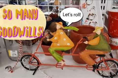 So Many Goodwills! - Shop Along With Me - Goodwill Thrift Store