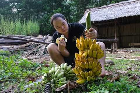 Enjoy delicious ripe BANANA, harvest the corn. Primitive Skills (ep185)