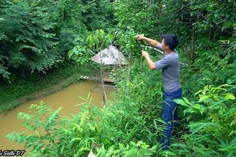 Harvest and dry roast to preserve fresh tea - Green forest life