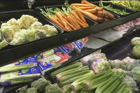 Canadians are changing the way they grocery shop as food inflation rises | Sylvain Charlebois
