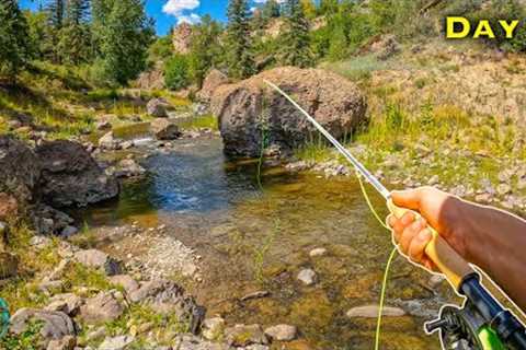 Fly Fishing NEW Creeks for Wild Trout! (Brown Trout and Rainbow Trout)