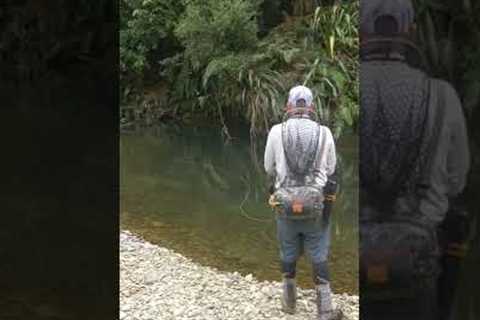 Slow dry fly take #flyfishing