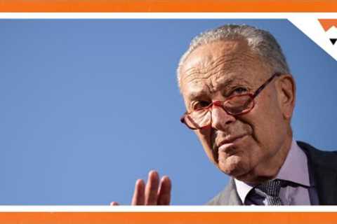 Lindsay Graham And Chuck Schumer Have Opposite Midterm Strategies l FiveThirtyEight