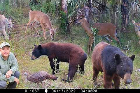 Tim Harrell - Browning Recon Force Advantage Trail Camera Pickup