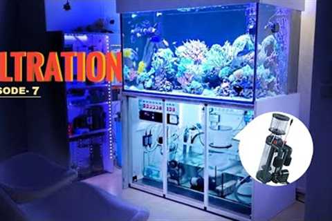 The filtration part | protein skimmer, ozone,uv,water current |(EPISODE-7)