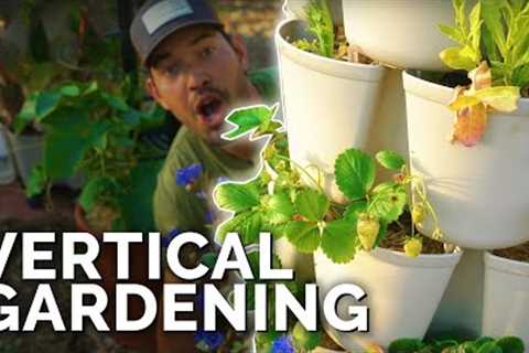 Vertical Gardening 101 | GreenStalk Garden Review