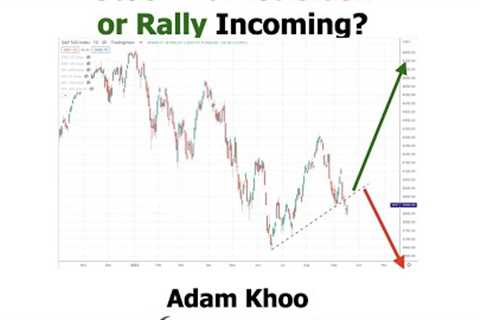 Stock Market Crash or Rally Incoming?