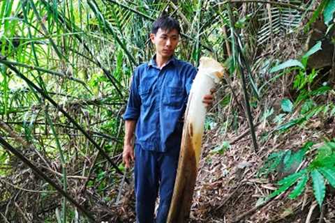 Survival Skills In The Rainforest, Bushcraft Survival, Primitive skills - #16