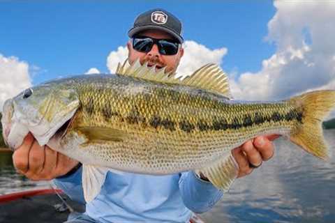 How To Catch Bass Open Water Bass! (When Other's Are Giving Up)