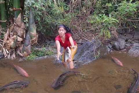 Survival in forest : Catch and cook fish for food - Fish grilled spicy with Chili sauce for dinner