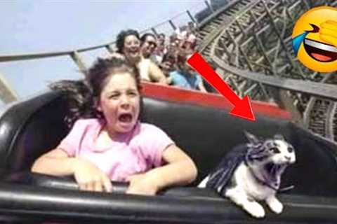 Funny Animal Videos 2022 😂 - Funniest Cats And Dogs Videos 😺😍 #21