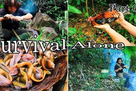 60 Days Alone: Survival Skills in the Rainforest | Part 03