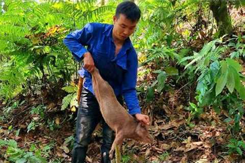 detecting the footprints of wild boar, skills, crafting some primitive traps, survival instinct