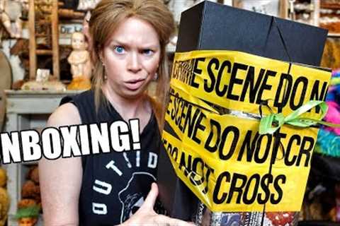 Unboxing Scary Surprise Halloween PR?!