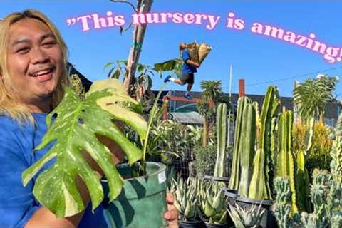 11:1, The Plants! The Deals! Don’t Sleep On This Place!