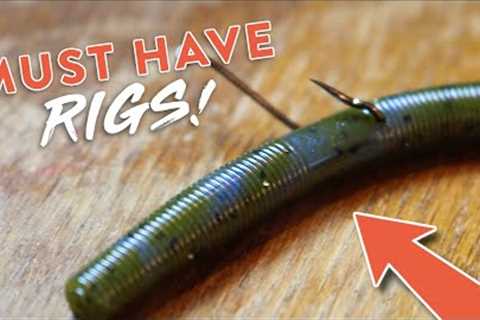 Bass Fishing 101: 5 Bass Fishing Rigs You NEED to KNOW!!