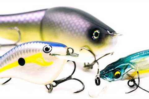 Top 5 Baits For October Bass Fishing!
