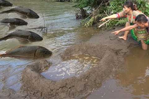 Survival Cooking: Build Traps Fish - Living Off Grid - Primitive Catch Fish