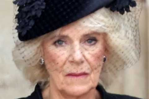 What Camilla's Jewels at Queen Elizabeth's Funeral Meant So Much