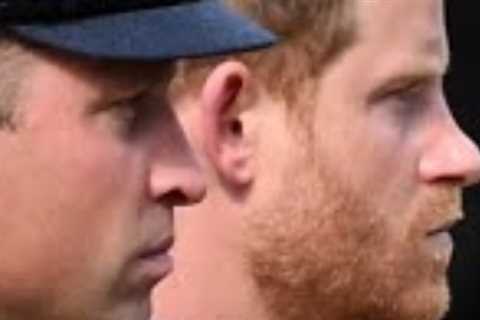 A Lip Reader on What Prince William and Prince Harry said during The Queen's Funeral