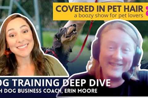 All you need to know about DOG TRAINING as a career | How to Start!