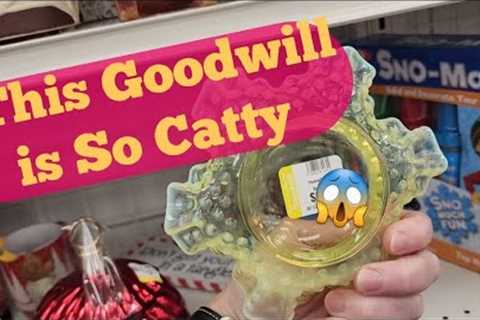 This Goodwill is So Catty - Shop Along With Me - Goodwill Thrift Store