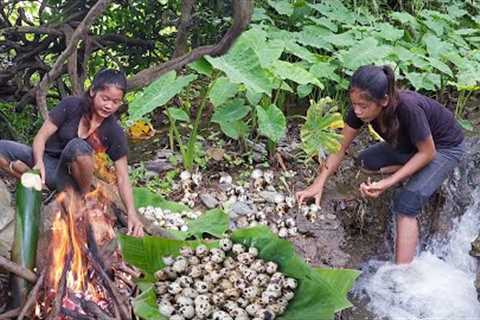 Survival in forest: Found quails egg for food - Quails egg grilled in bamboo tree for dinner