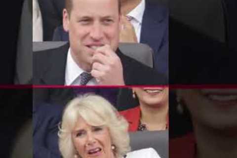 What Prince Harry Thinks of Stepmother Camilla