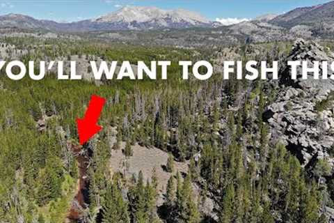 This River Was Amazing—and a Pain to Get To! (Tenkara Fly Fishing)