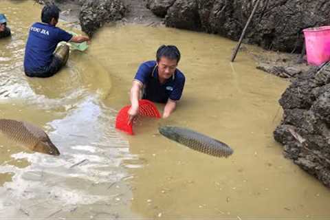 Catching bamboo worms, Catching fish helps fish brothers a lot / Farm life 22