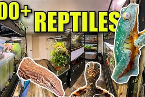 MASSIVE REPTILE ROOM TOUR December 2021!! | 100+ REPTILES!!