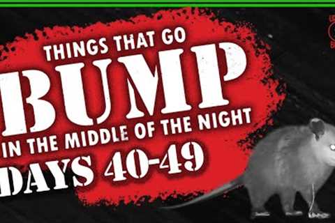 Animals at Nights 40-49 🐾 ～ Wee Trail Camera #SHORTS #animal #wee #Viral #youtubeviralshortsvideos