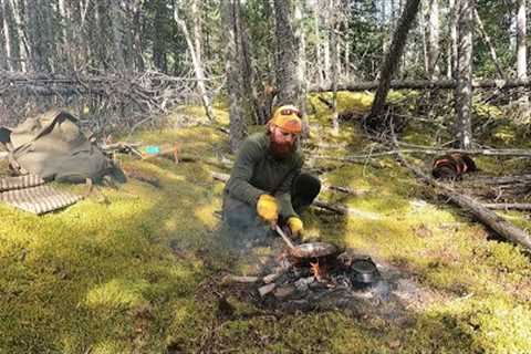 Checking Trail Cameras in Preparation for the Fall Hunt! | Campfire Cooking!