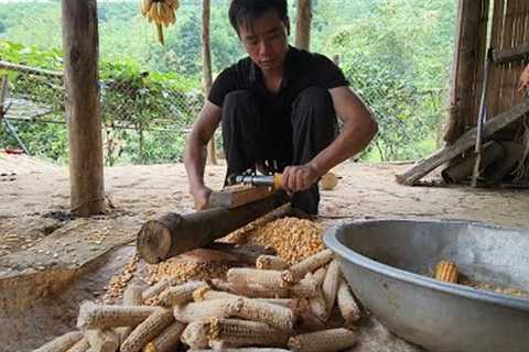 Harvest and Craft a Corn Separator,Survival Instinct,Building a Life (Ep 196)