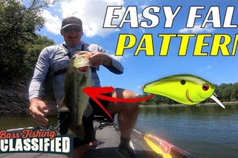 Easy Fall Bass Fishing Pattern to Catch Fish All Day Long