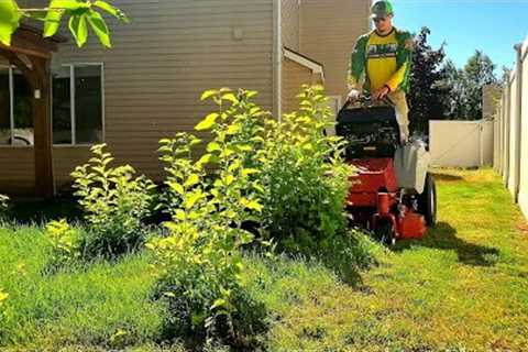 I Made A ROOKIE Mistake While MOWING This Overgrown Yard