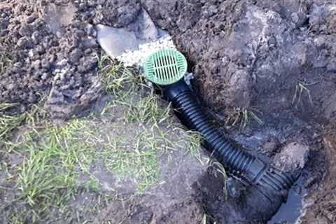 GUARANTEED - Fix SOGGY Wet Yard