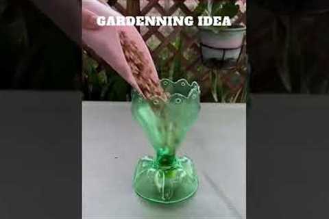 Empty bottles can grow flowers like this😆🌴🌱🌿😇/gardening ideas 😇…. @funny animal sunny