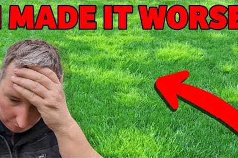 DONT DO THIS if you want to get rid of WEED GRASS